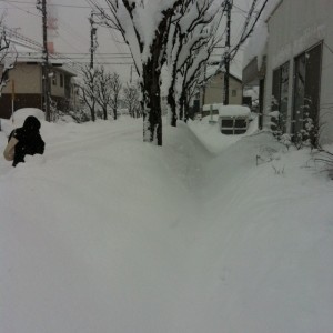 松本営業所の雪の様子